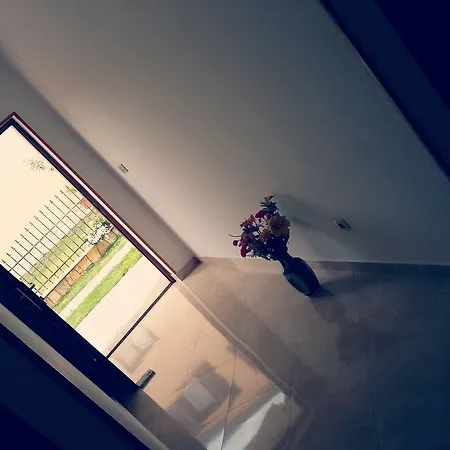 Pejic أوماغ